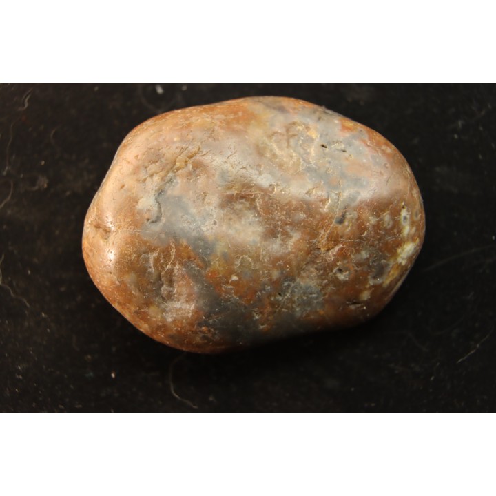 Gastrolithe de dinosaure - Crétacé inférieur - Cloverly formation - Montana - USA