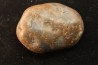 Gastrolith of Dinosaur - Lower Cretaceous - Cloverly formation - Montana -USA