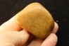 Gastrolith of Dinosaur - Lower Cretaceous - Cloverly formation - Montana -USA