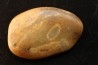 Gastrolith of Dinosaur - Lower Cretaceous - Cloverly formation - Montana -USA