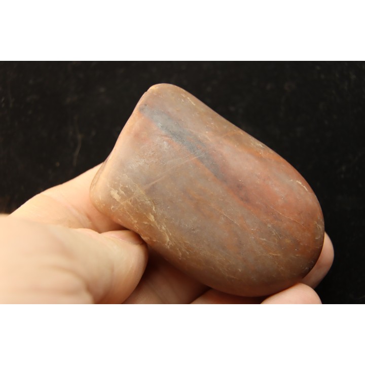 Gastrolith of  Dinosaur - Lower Cretaceous - Cloverly formation - Montana -USA