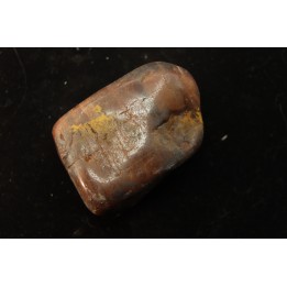 Gastrolith of  Dinosaur - Lower Cretaceous - Cloverly formation - Montana -USA