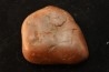 Gastrolith of Dinosaur - Lower Cretaceous - Cloverly formation - Montana -USA