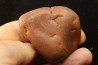 Gastrolith of Dinosaur - Lower Cretaceous - Cloverly formation - Montana -USA