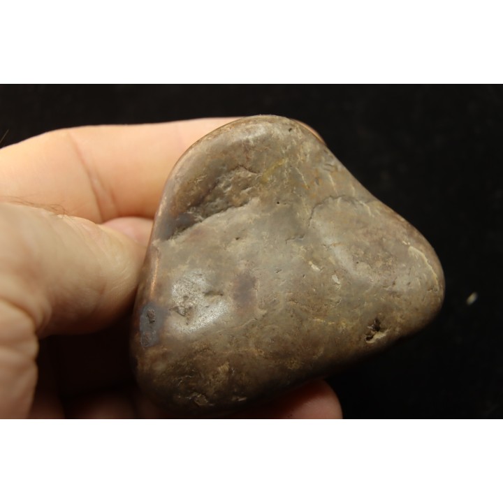 Gastrolith of  Dinosaur - Lower Cretaceous - Cloverly formation - Montana -USA
