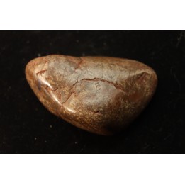 Gastrolith of  Dinosaur - Lower Cretaceous - Cloverly formation - Montana -USA
