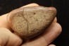 Gastrolith of Dinosaur - Lower Cretaceous - Cloverly formation - Montana -USA