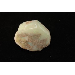 bivalve en opale:  Cyrenopsis australiensis - Aptien - Coober Pedy - Australie