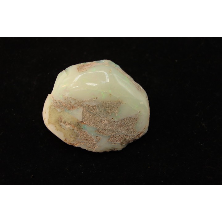 bivalve en opale:  Cyrenopsis australiensis - Aptien - Coober Pedy - Australie