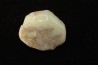 bivalve en opale: Cyrenopsis australiensis - Aptien - Coober Pedy - Australie