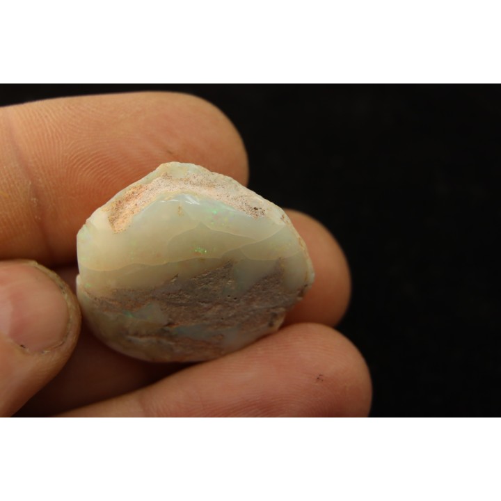 bivalve en opale:  Cyrenopsis australiensis - Aptien - Coober Pedy - Australie