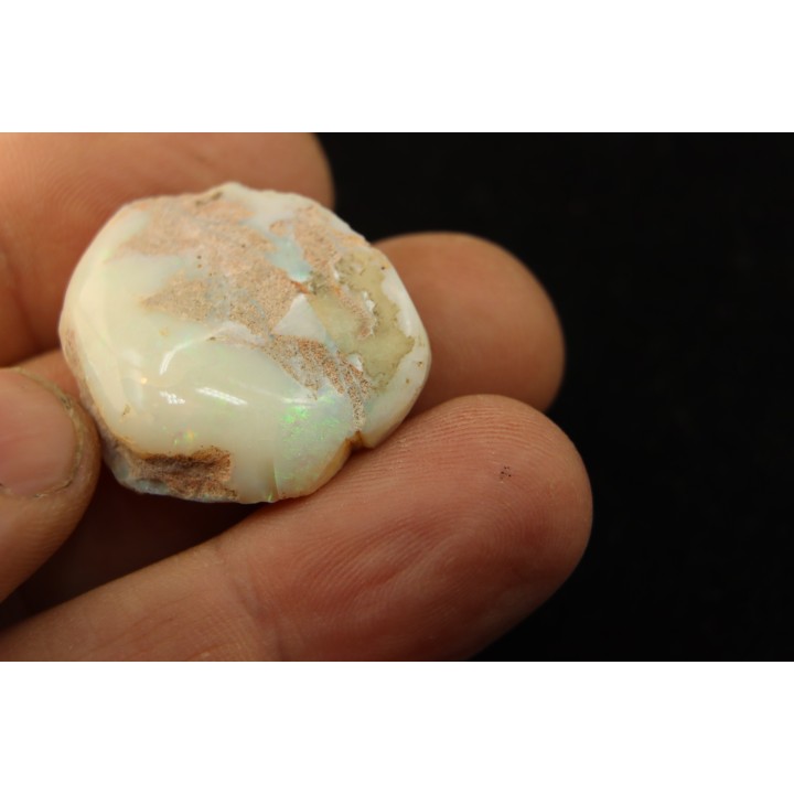 opalized bivalve:  Cyrenopsis australiensis - Aptian - Coober Pedy - Australia