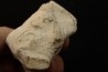 Belemnite en opale: - Aptien - Coober Pedy - Australie