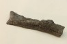 Dent de requin : EDESTUS HEINRICHI