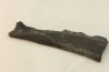 Dent de requin : EDESTUS HEINRICHI