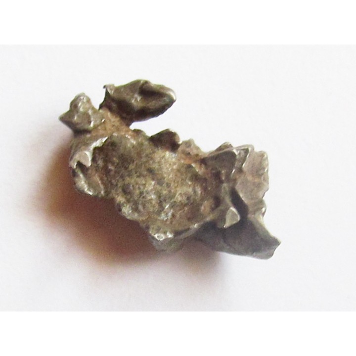 METEORITE pallasite IMALAC (1)