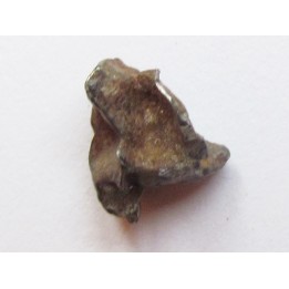 METEORITE pallasite IMALAC (8)