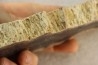 fossil wood - conifère - Permian - Gignac, 84- FRANCE