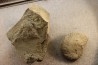 2 Unprepared Hoplite - albian - old quarry Courcelles - Aube - France