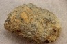 accumulation of  trilobit's COPROLITHES : TOMACULUM PROBLEMATICUM - Ordovician - Maine et Loire, FRANCE