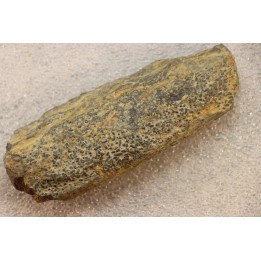 accumulation of  trilobit's COPROLITHES : TOMACULUM PROBLEMATICUM - Ordovician - Maine et Loire, FRANCE