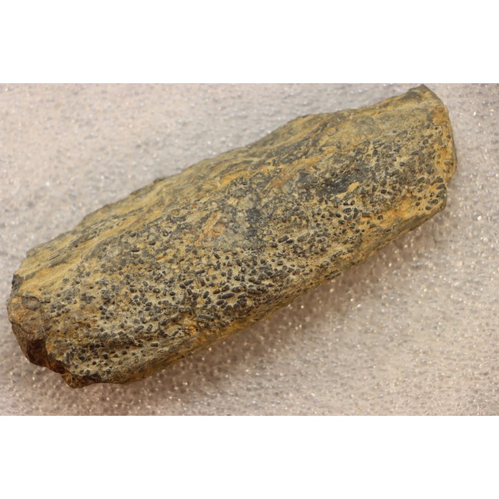 accumulation of  trilobit's COPROLITHES : TOMACULUM PROBLEMATICUM - Ordovician - Maine et Loire, FRANCE