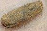 accumulation de COPROLITHES de trilobites: TOMACULUM PROBLEMATICUM - Ordovicien - Maine et Loire, FRANCE