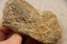 accumulation of  trilobit's COPROLITHES : TOMACULUM PROBLEMATICUM - Ordovician - Maine et Loire, FRANCE