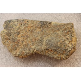 accumulation de COPROLITHES de trilobites: TOMACULUM PROBLEMATICUM - Ordovicien - Maine et Loire, FRANCE