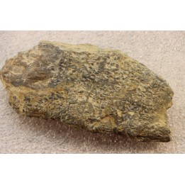 accumulation of  trilobit's COPROLITHES : TOMACULUM PROBLEMATICUM - Ordovician - Maine et Loire, FRANCE