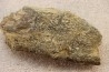 accumulation of trilobit's COPROLITHES : TOMACULUM PROBLEMATICUM - Ordovician - Maine et Loire, FRANCE