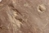 Dalle à Medusina Atava et empreinte d'amphibien - Permien - Millau