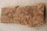 EOCRINOIDES: dalle à ASCOCYSTITES - Sandbien - ordovicien sup. - Bou Nemrou, Erfoud, Maroc