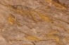 EOCRINOIDES: plate with  ASCOCYSTITES - Sandbian - upper ordovician - Bou Nemrou, Arfoud, Morocco