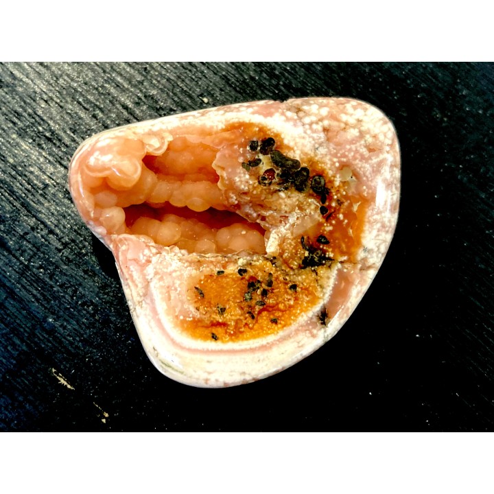 fossile de bivalve en rhodocrosite  Arcicardium acardo  pliocene  Kerch peninsula, Crimea, UKRAINE