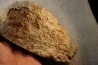 coprolithe de dinosaure - jurassique - Morrison Formation