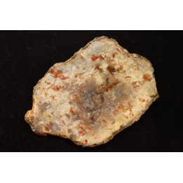 dinosaur coprolithe - jurassic - Morrison Formation
