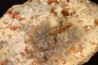 dinosaur coprolithe - jurassic - Morrison Formation