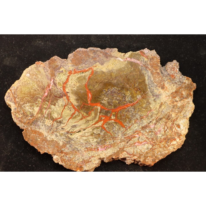 dinosaur coprolithe - jurassic - Morrison Formation