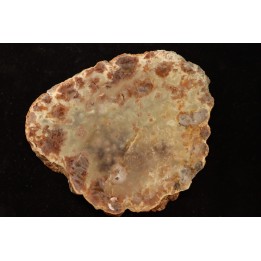 dinosaur coprolithe - jurassic - Morrison Formation
