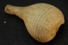 PIRULA SALLOMACENSIS - serravalien - Salles, France