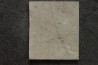 unprepared fossil fish PRISCACARA