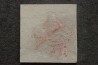 unprepared fossil fish PRISCACARA