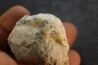 OTODUS OBLIQUUS (pathologic) - Ypresian - Oued Zem, Morocco