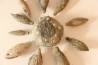 Caenocidaris cucumifera Bajocian Culoz (Ain) - FRANCE