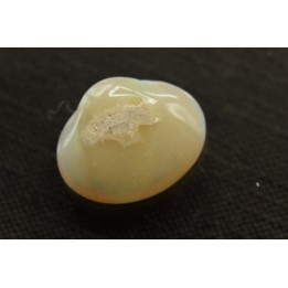bivalve en opale:  Cyrenopsis australiensis - Aptien - Coober Pedy - Australie