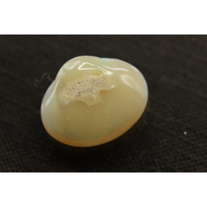 bivalve en opale:  Cyrenopsis australiensis - Aptien - Coober Pedy - Australie