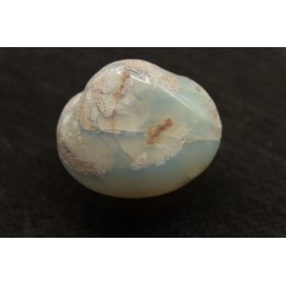 bivalve en opale:  Cyrenopsis australiensis - Aptien - Coober Pedy - Australie