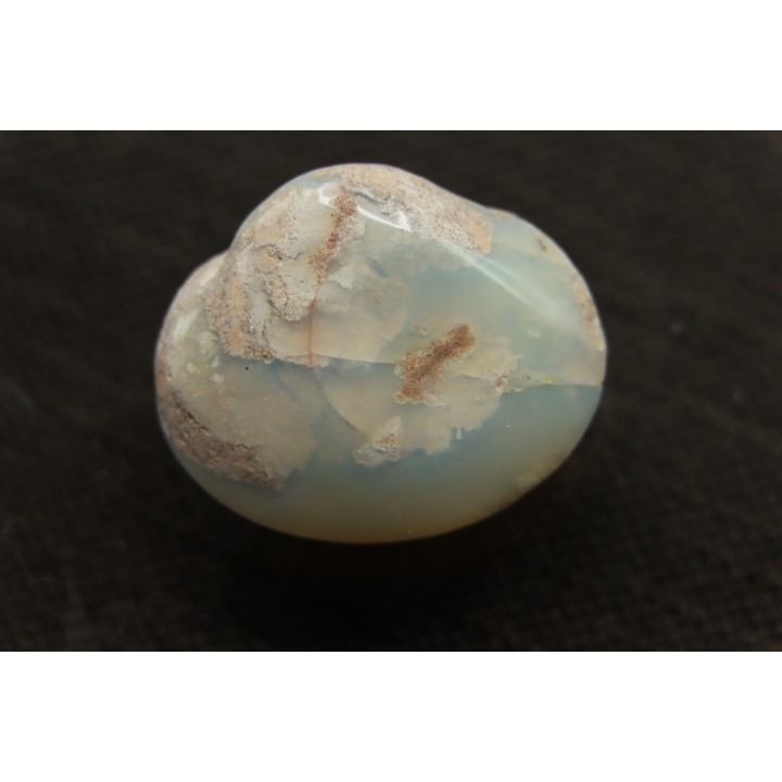 opalized bivalve:  Cyrenopsis australiensis - Aptian - Coober Pedy - Australia