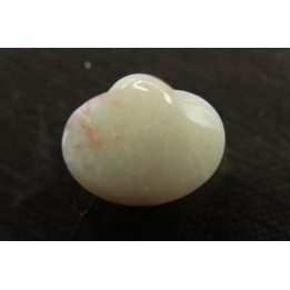 opalized bivalve:  Cyrenopsis australiensis - Aptian - Coober Pedy - Australia